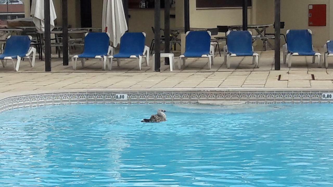 Apartamento Bela Vista Albufeira Dış mekan fotoğraf